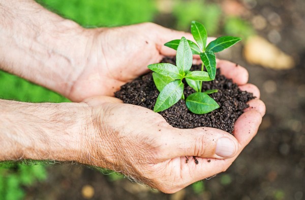biodynamické zemědělství Demeter